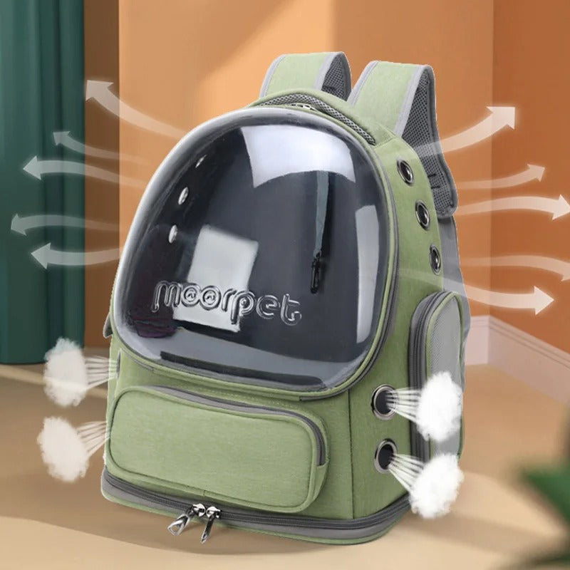 Space Capsule Cat Backpack: Transparent, Double Shoulder
